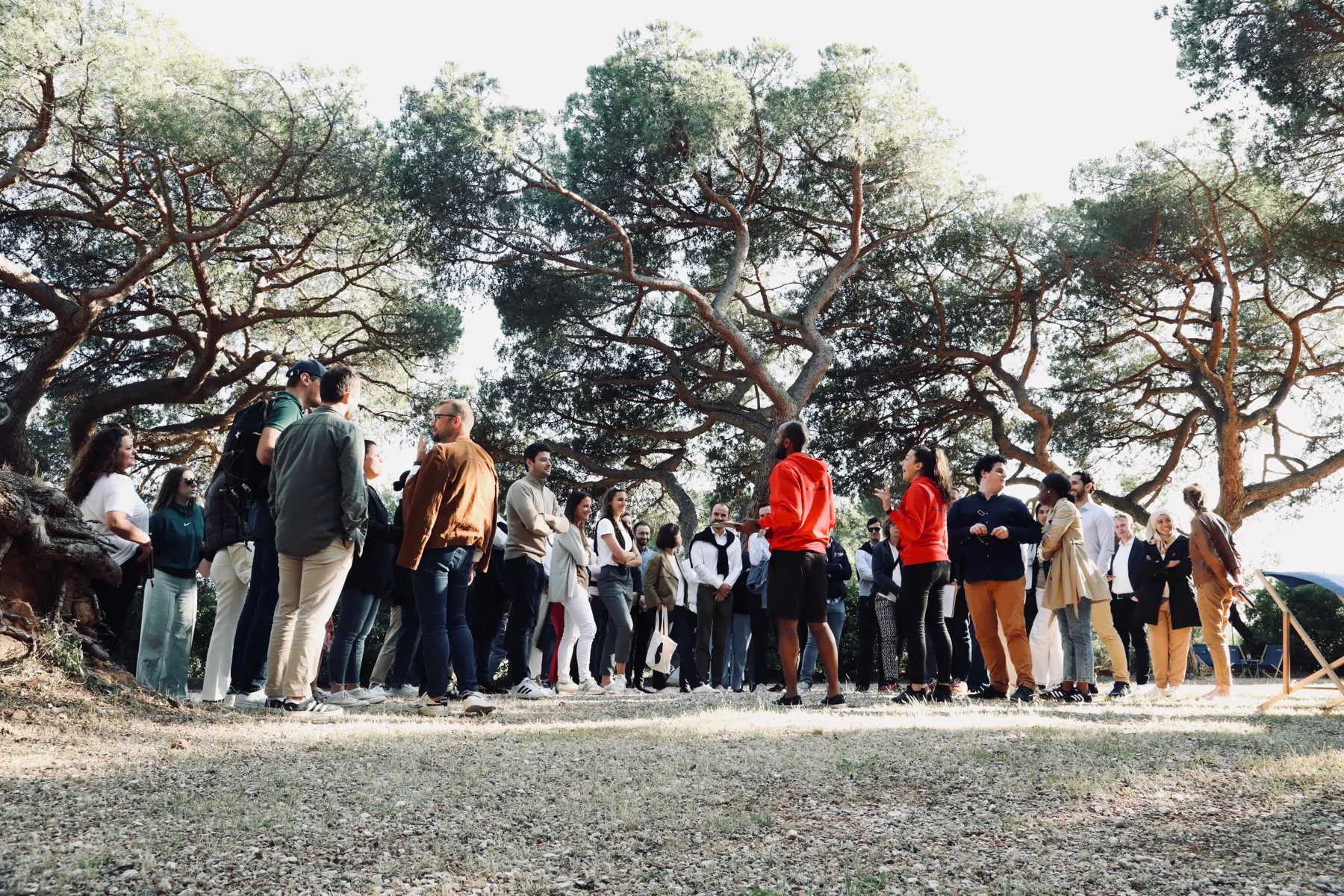Le groupe réuni sous les pins pour le tournoi de pétanque