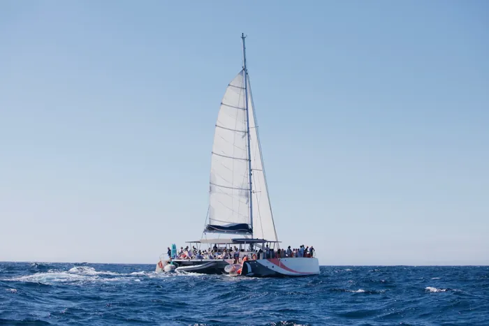 Un maxi-catamaran sous voiles avec un grand groupe à bord