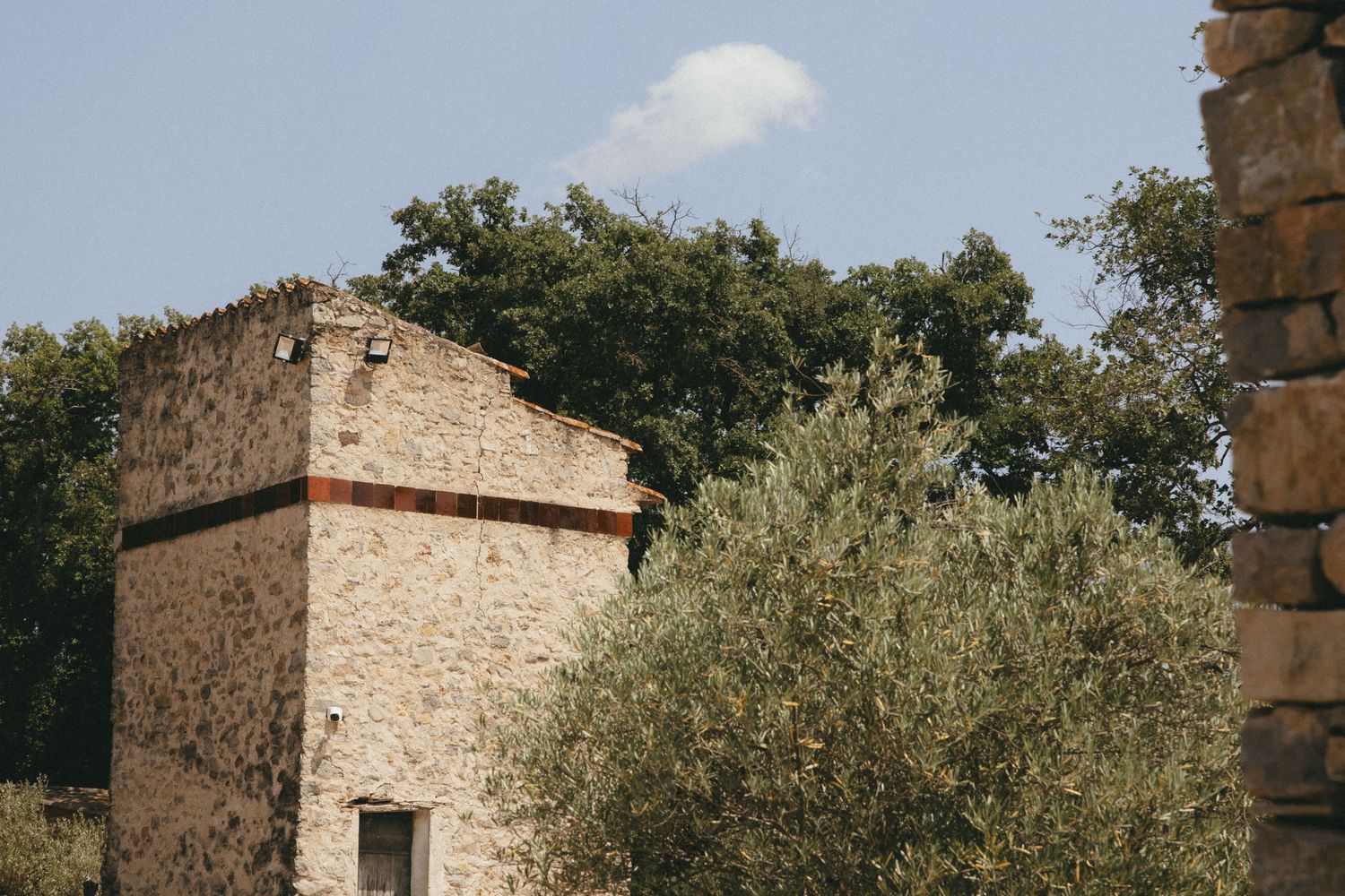 Pigeonnier en pierre et olivier dans le parc d'un domaine provençal