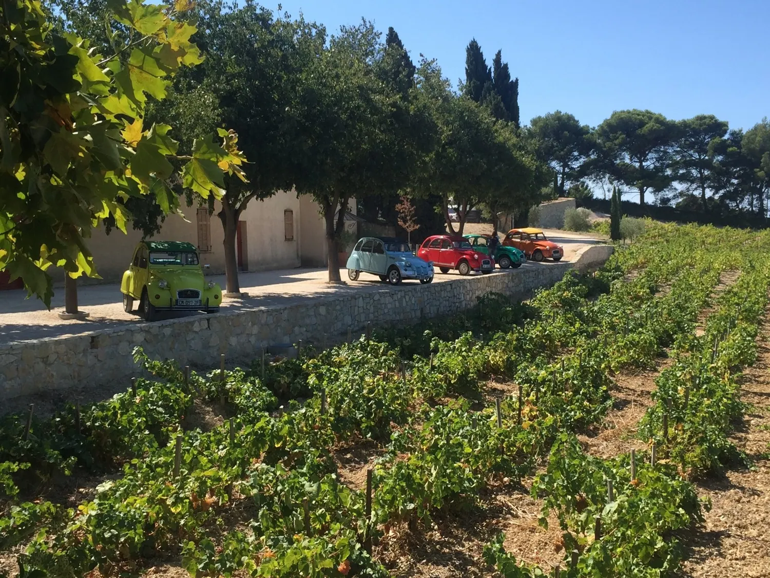 2 CV garées au-dessus d'un rang de vigne, en Provence