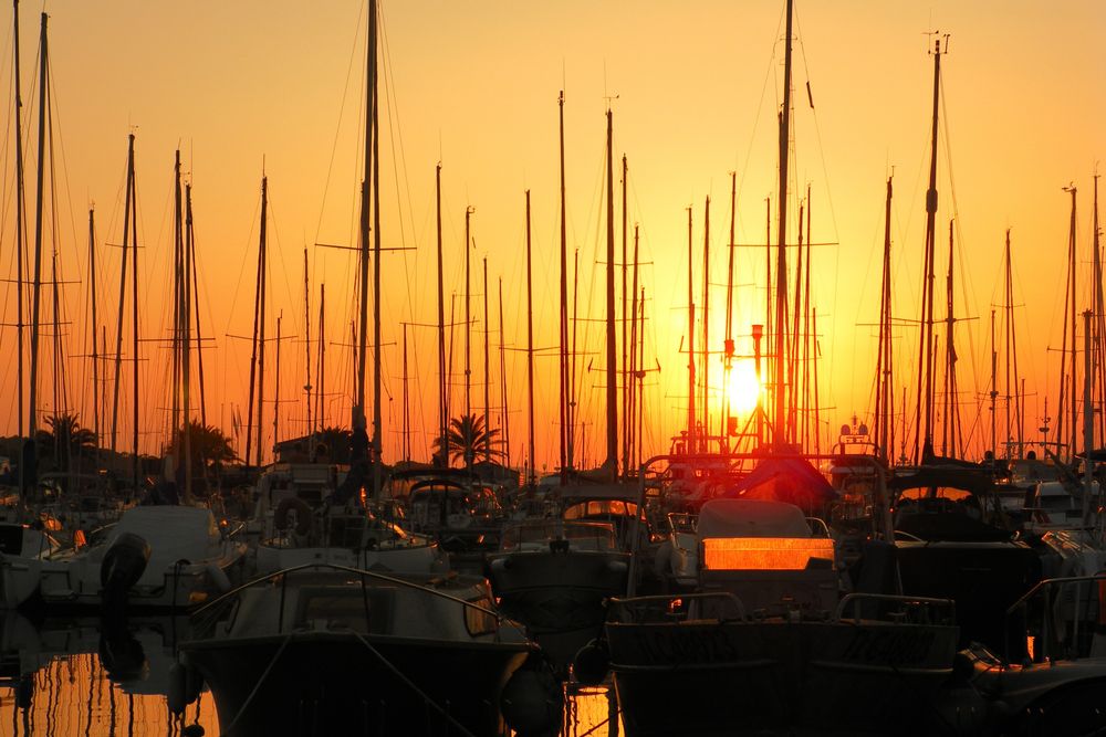 Coucher de soleil derrière les mâts d'un port de plaisance
