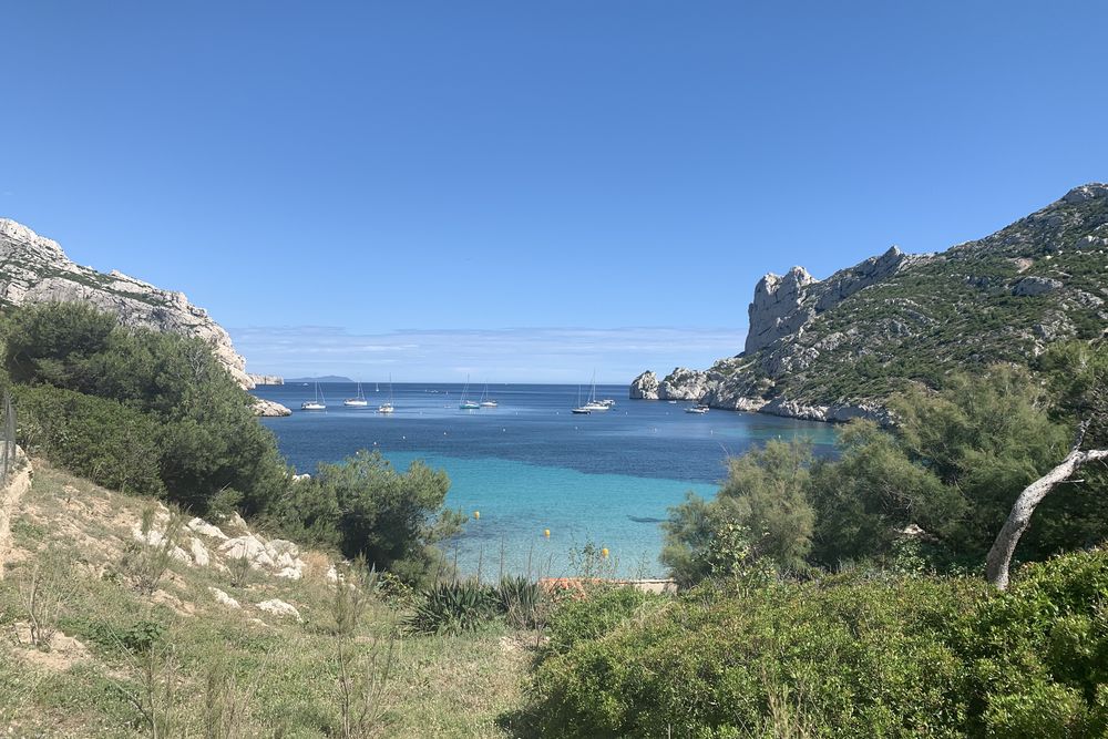 Calanque et eau turquoise entre les pins, à deux pas de Cassis