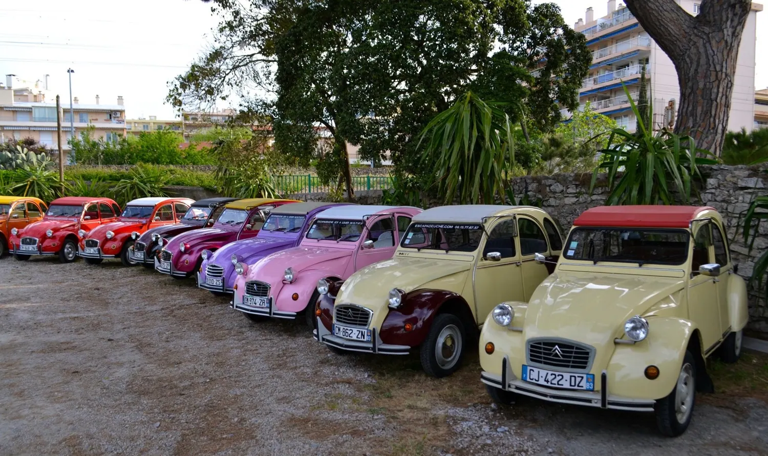 Alignement de 2 CV de toutes les couleurs, avant le départ d'un rallye