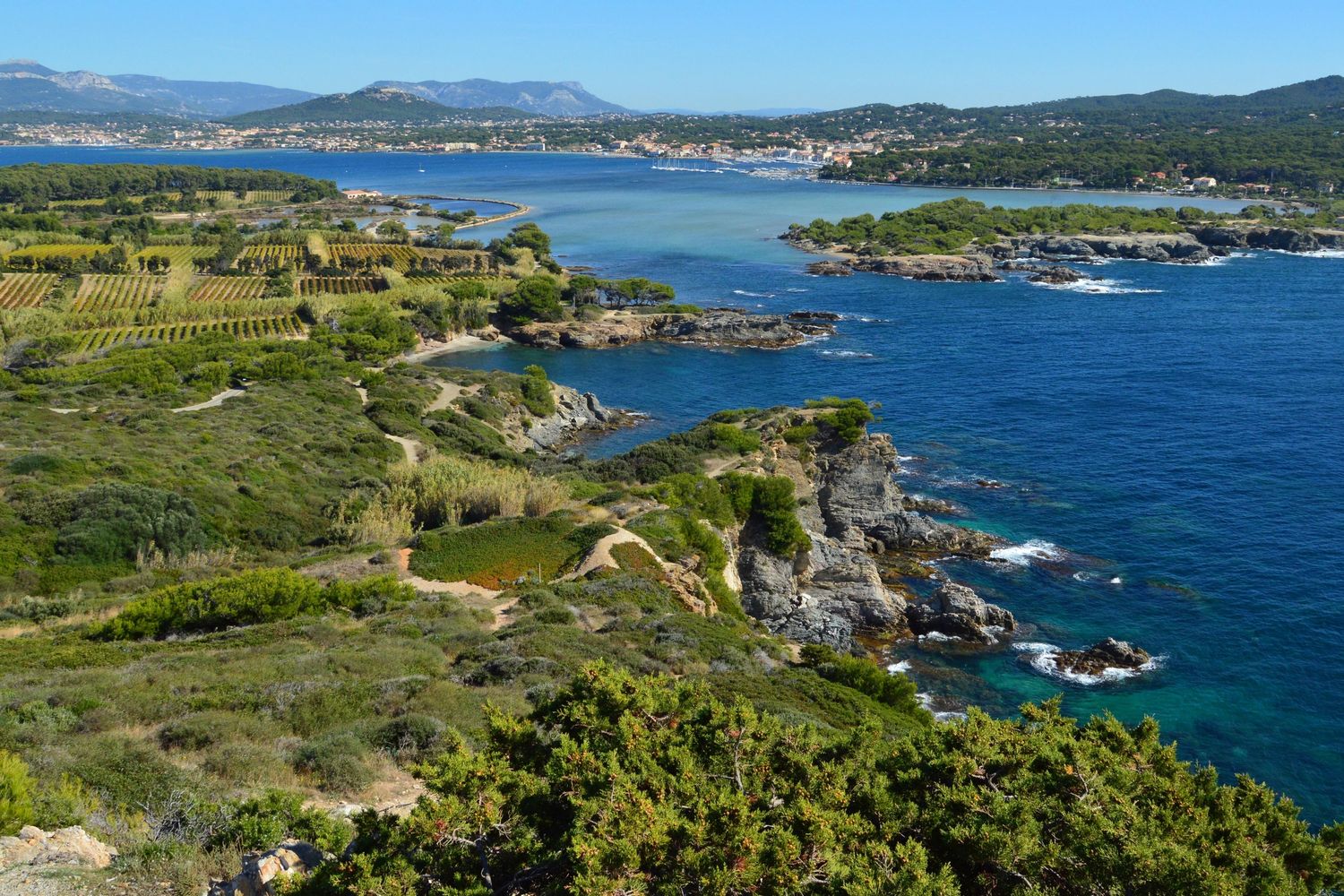Les Embiez, leurs criques et leur garrigue au-dessus de la mer