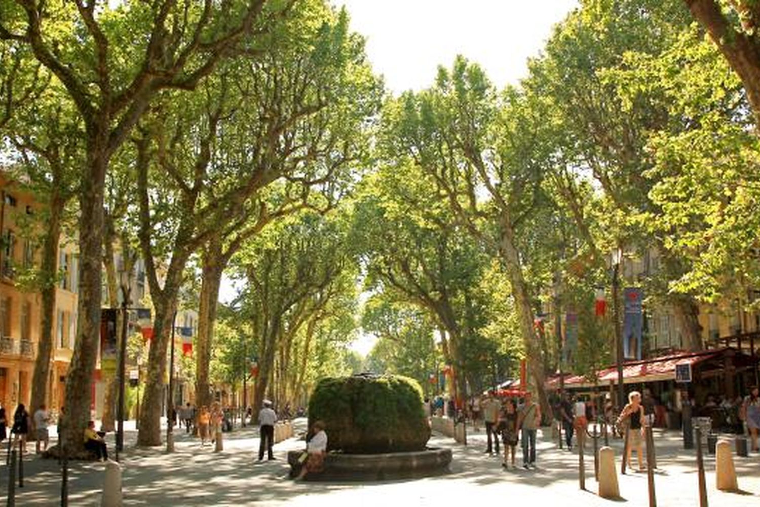 Le cours Mirabeau sous ses platanes
