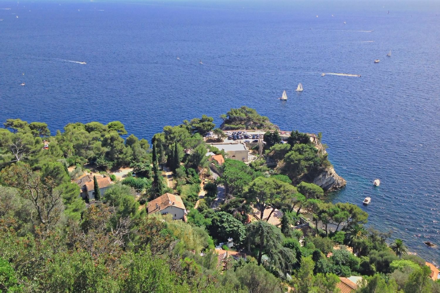 La côte et la mer vues depuis les hauteurs boisées, au-dessus de la rade