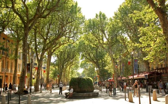 L'allée de platanes du Cours Mirabeau, à Aix
