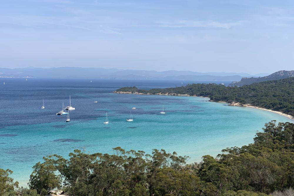 Une plage de sable blanc et son eau turquoise, entre les pins