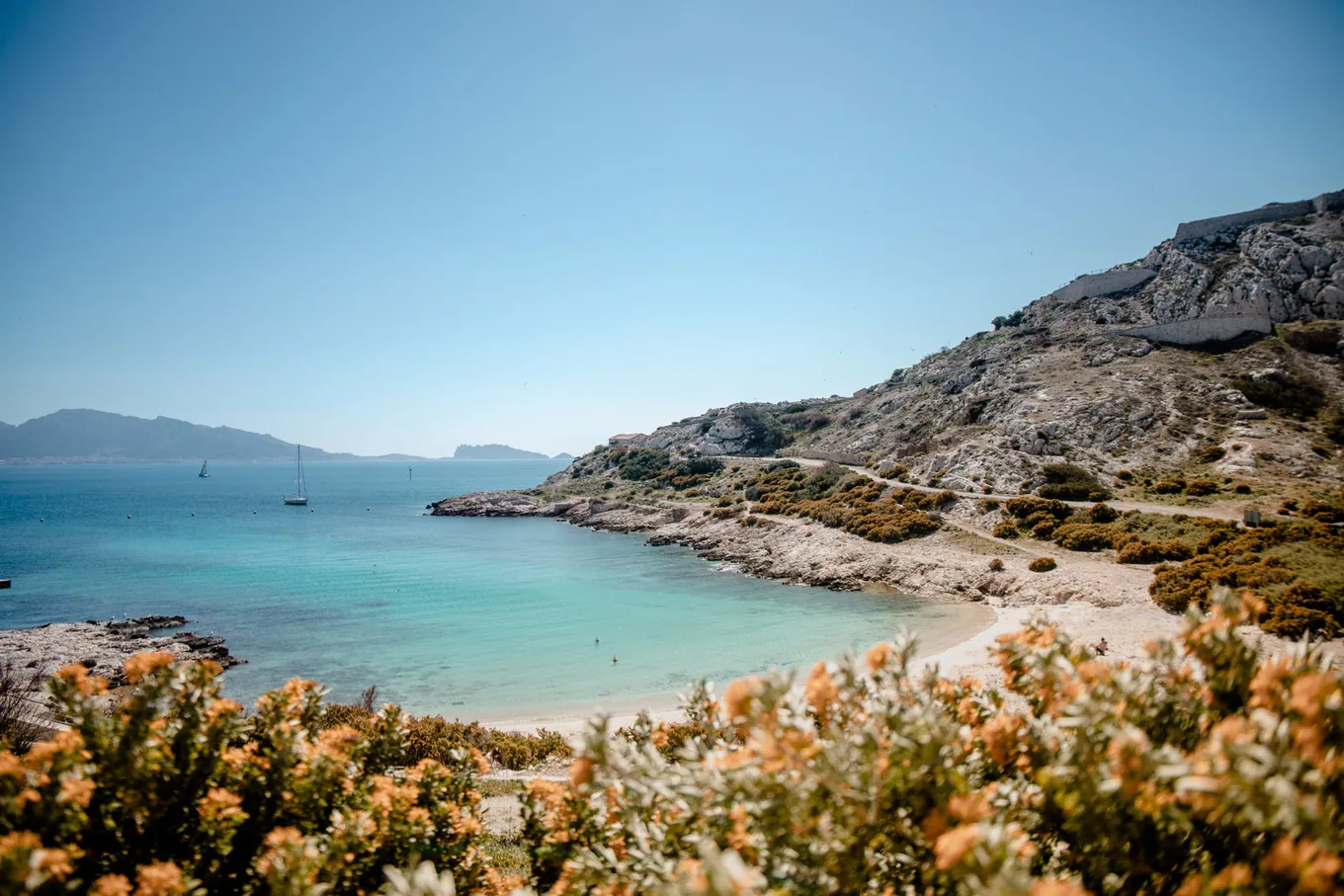 Une calanque aux eaux turquoise, bordée de garrigue en fleur