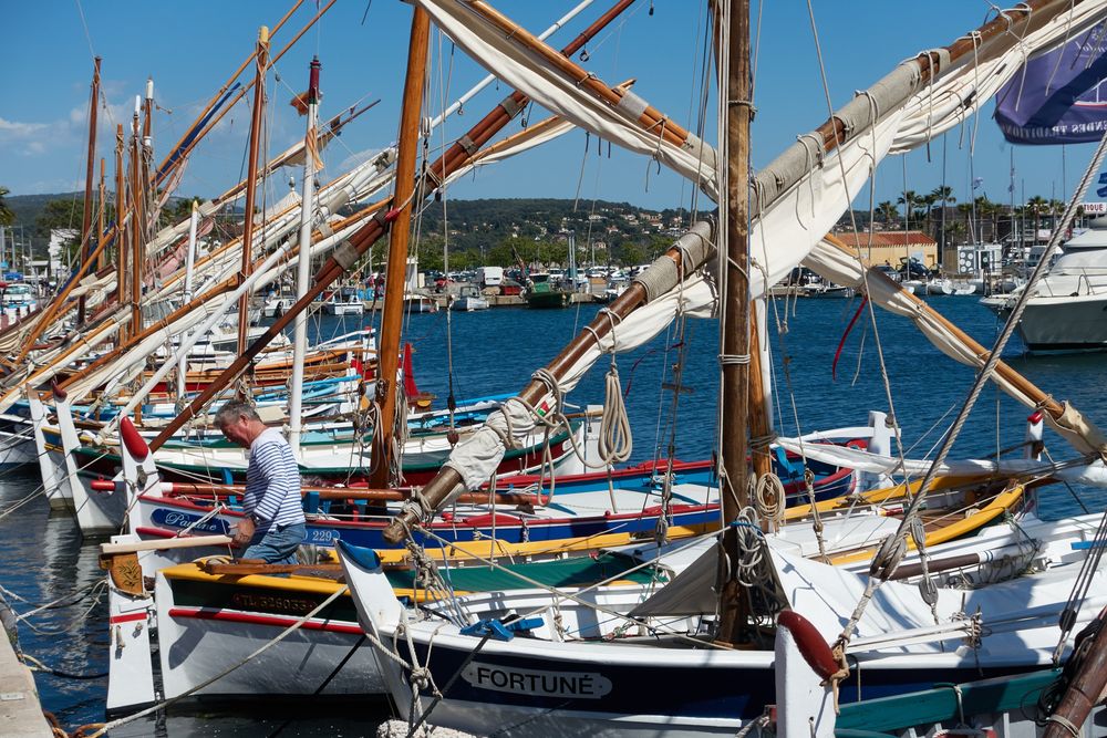 Vieux gréements amarrés au port, mâts et vergues