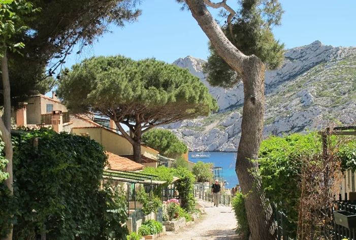 La calanque vue depuis la terrasse du cabanon, entre pins et falaises