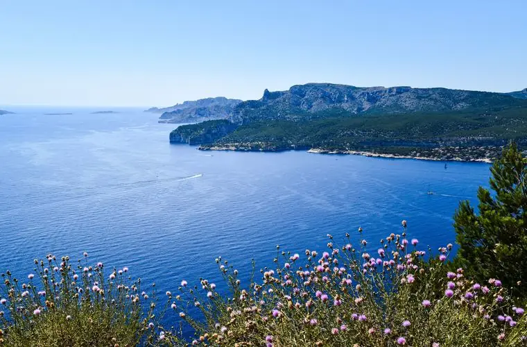 Cassis