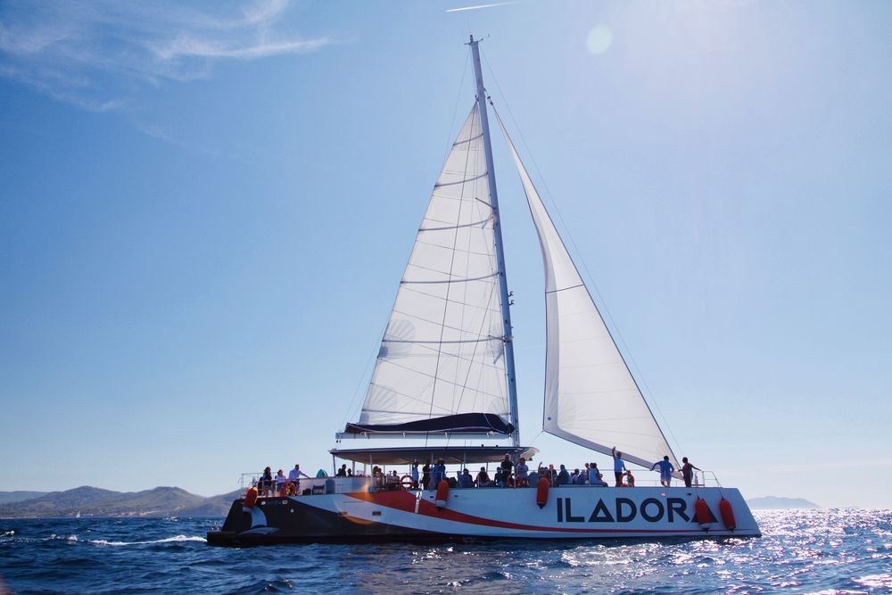 Catamaran sous voiles par grand beau temps