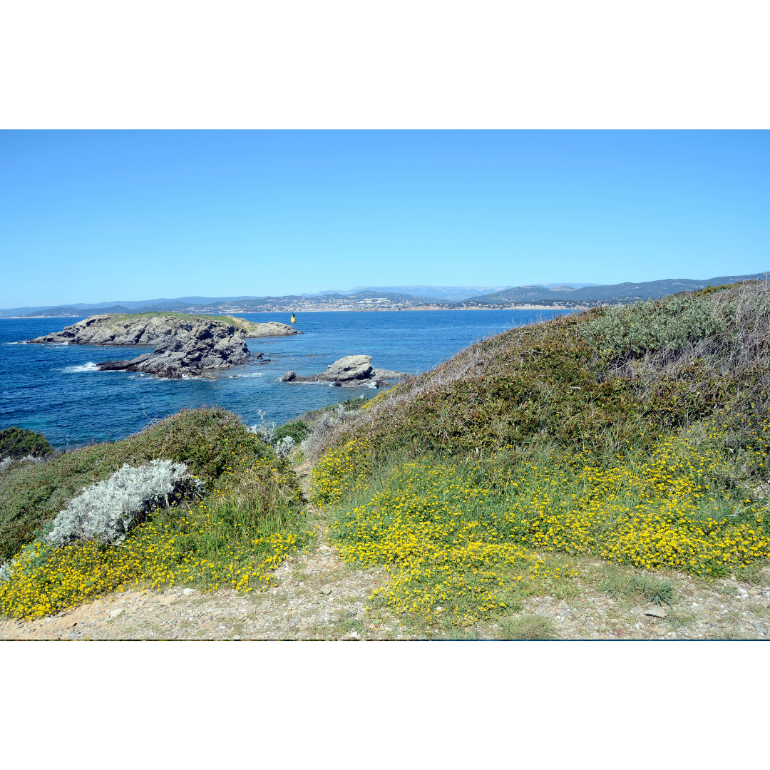 Les Embiez - séminaire sur une île secrète entre Marseille et Toulon