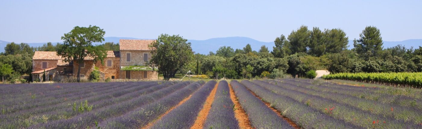 Séminaire Provence et Teambuilding dans le sud de la France