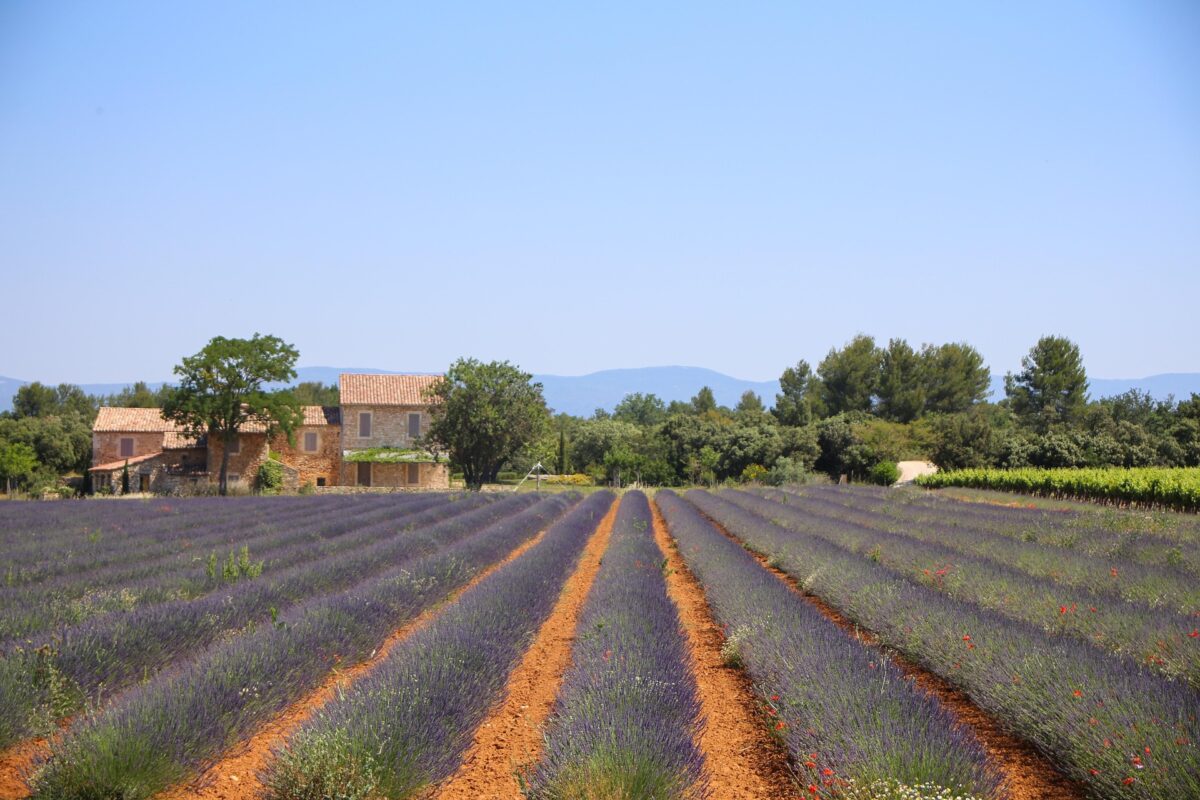 Séminaire Provence et Teambuilding dans le sud de la France
